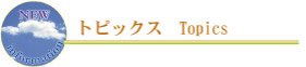 gsbNX